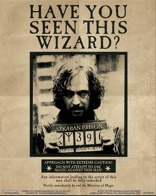 Harry Potter (Harry & Sirius) lenticulaire 3D: Poster 3D 10X8 en vrac