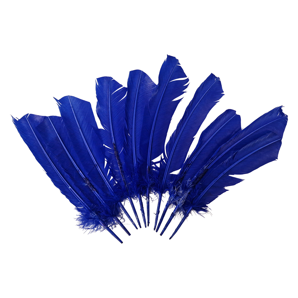 Plume de dinde, 10-12 pouces, Simple: Blanc