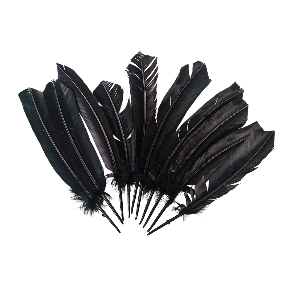 Plume de dinde, 10-12 pouces, Simple: Noir