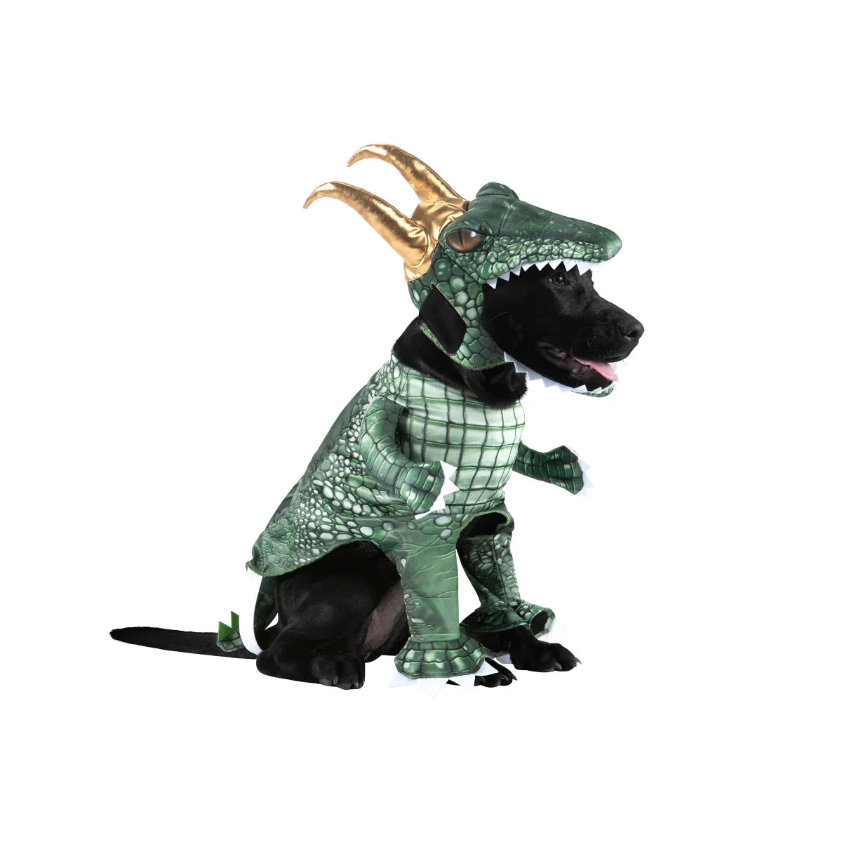 Costume Alligator Loki - Marvel - Chien