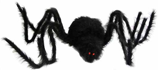 Hairy black giant spider