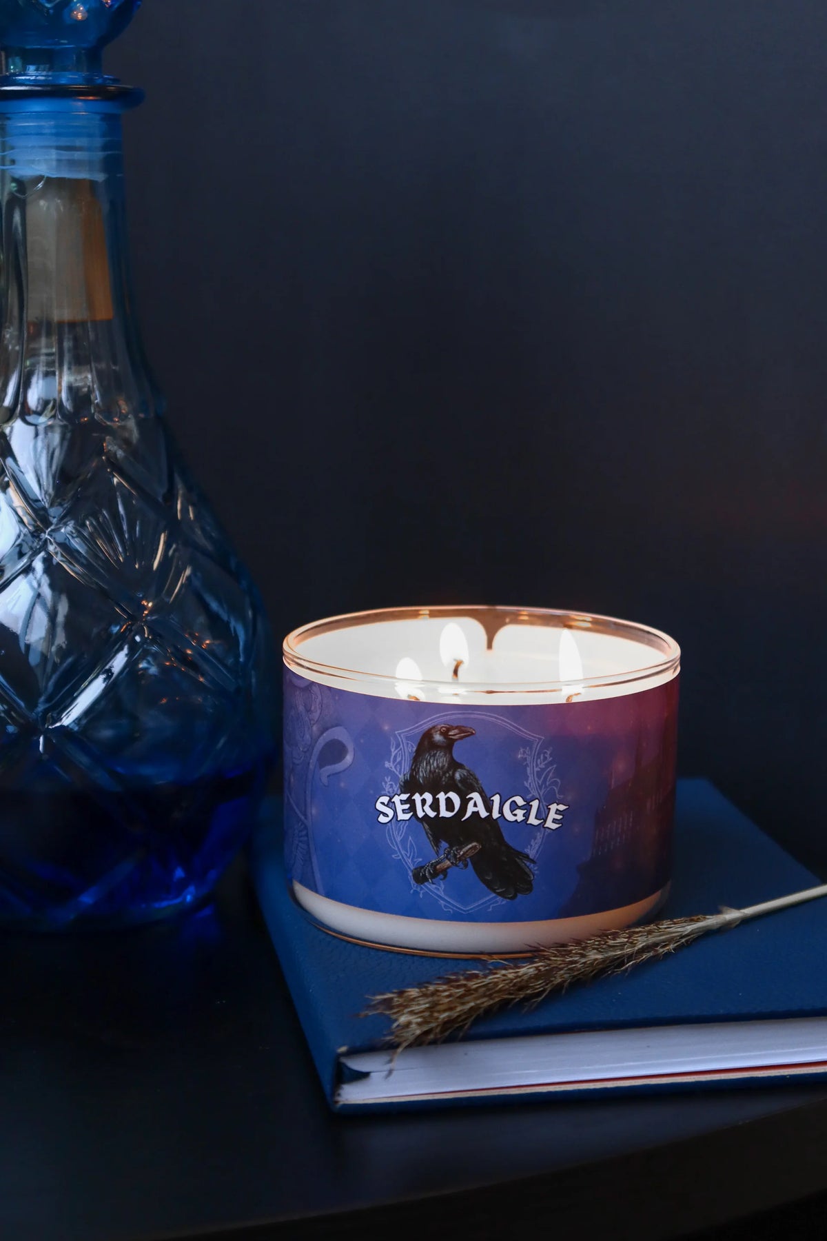 Chandelle SERDAIGLE 🦅 - Three Wix And Co