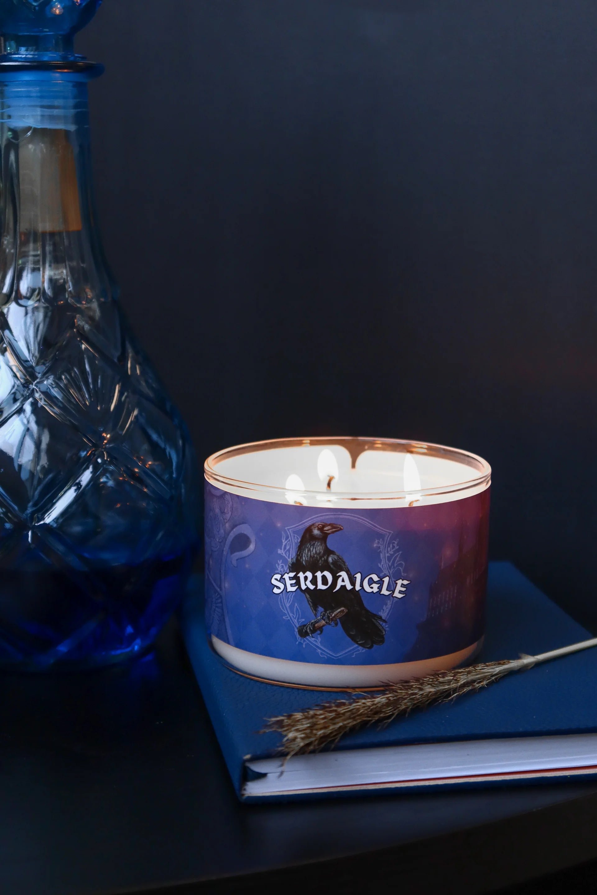 Chandelle SERDAIGLE 🦅 - Three Wix And Co
