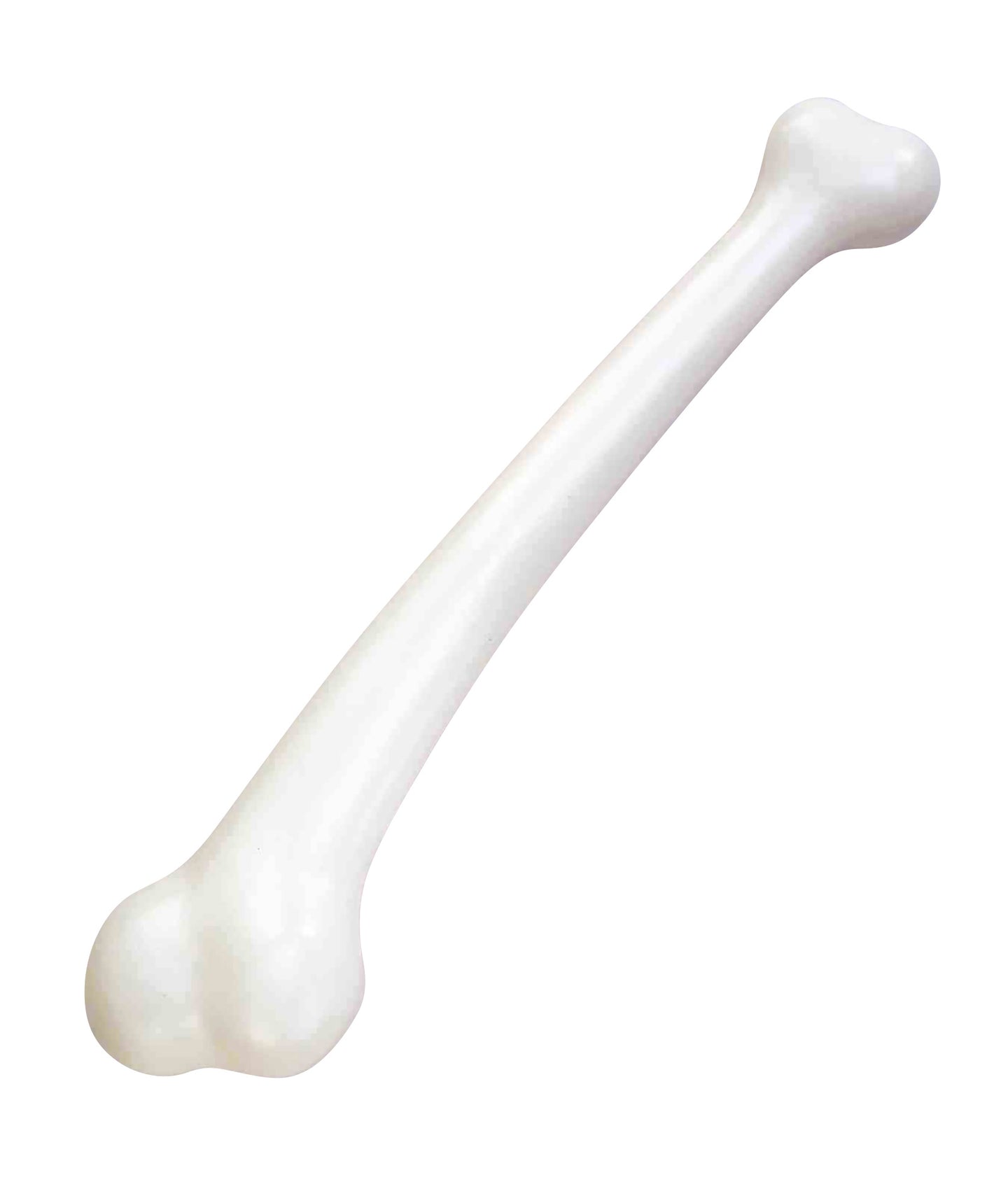 Accessoire - Os géant
