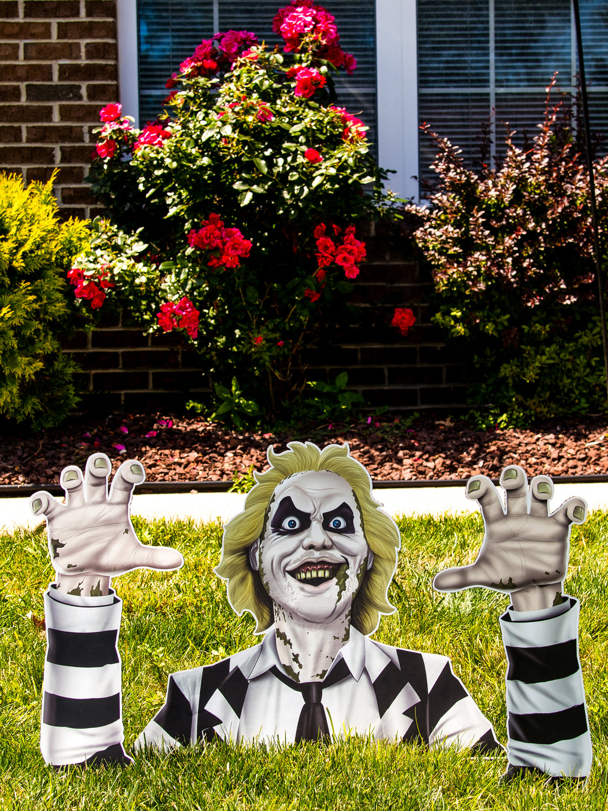 Costume - Beetlejuice Sortie de Terre - Adulte