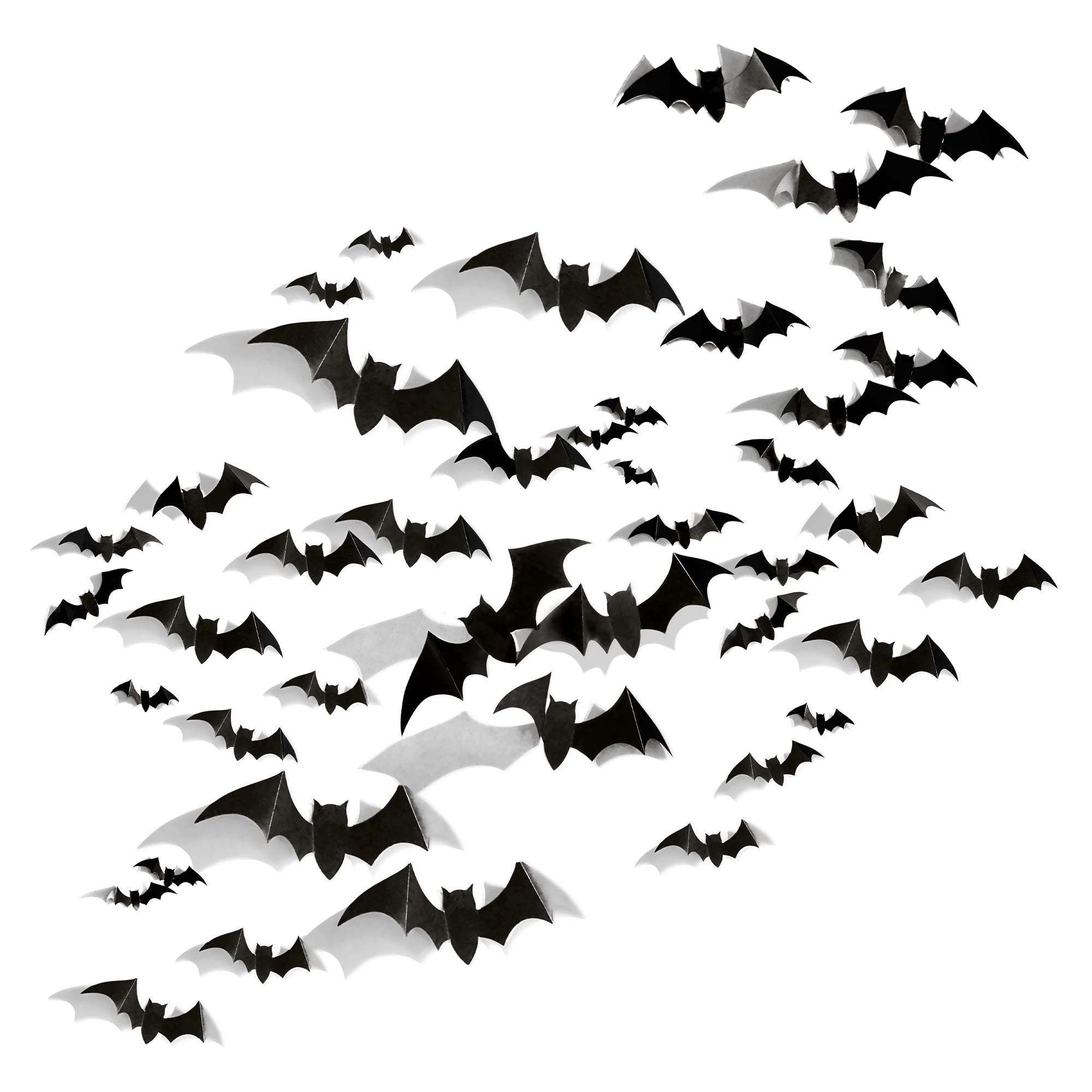 Chauve-souris