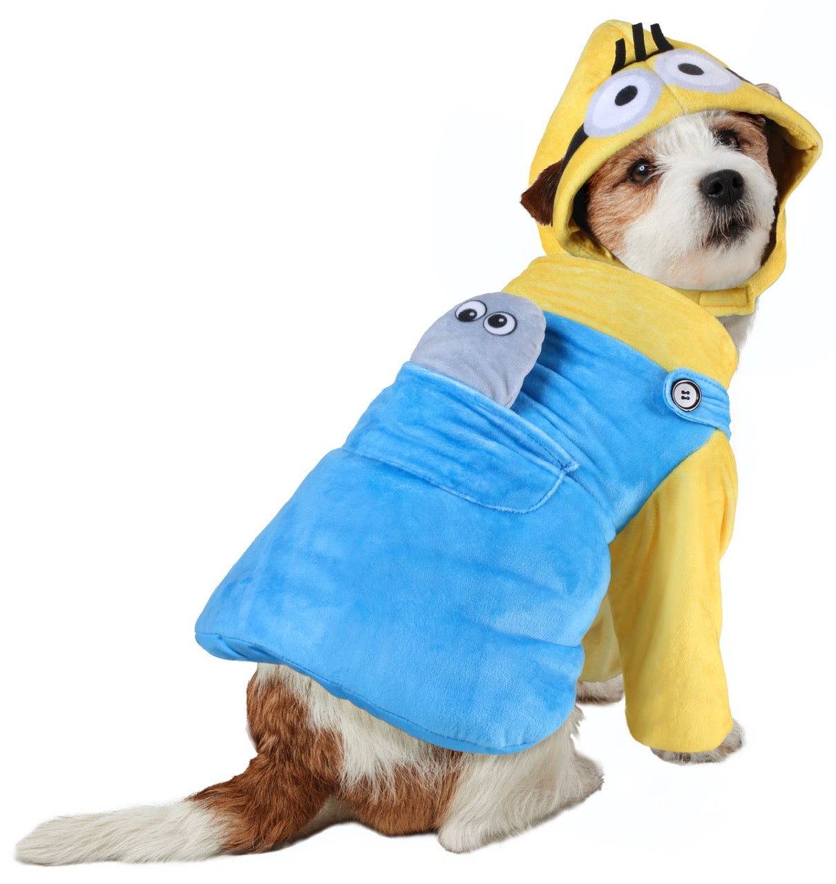 Otto Pet Costume - Minions