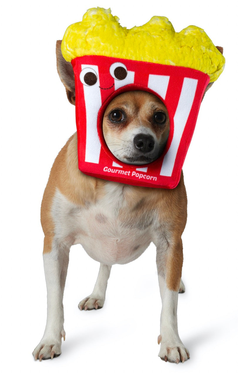 Costume popcorn pour animaux de compagnie