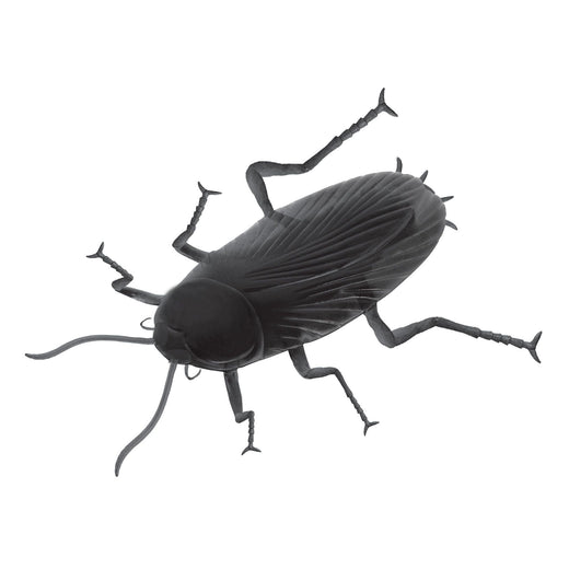 Giant Cockroach