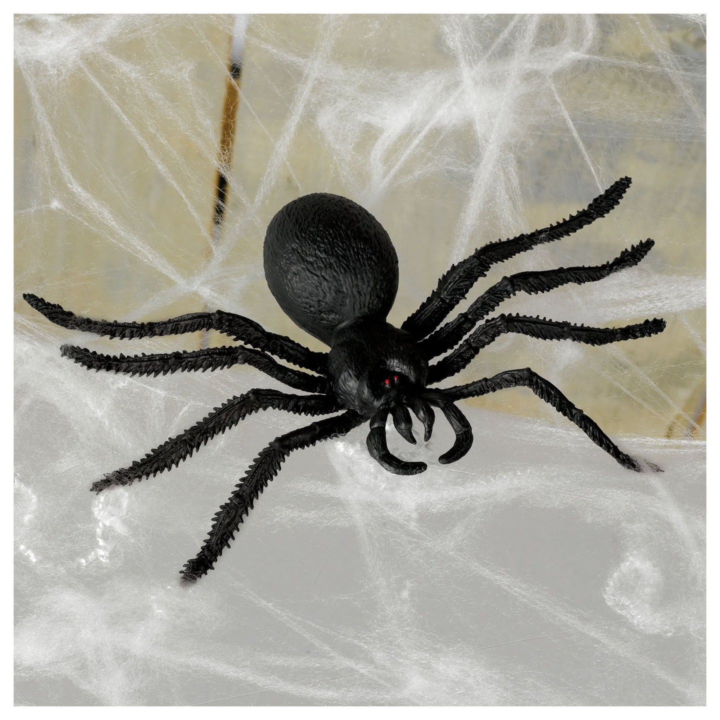 Large web with spider