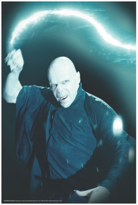 Window poster - Voldemort - Harry Potter