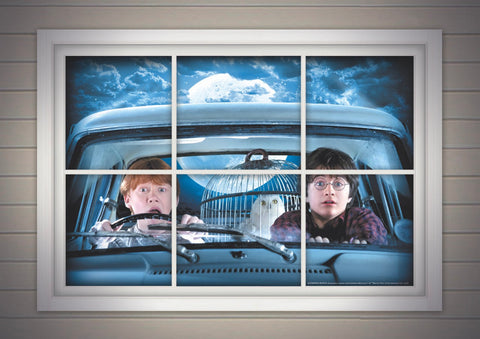 Door poster - Harry and Ron - Harry Potter