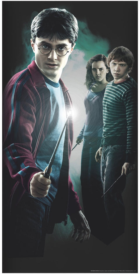 Door poster - Harry Potter