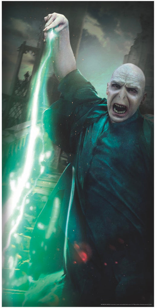 Door poster - Voldemort - Harry Potter