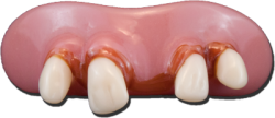 Fausses dents "Jethro" - Adulte - Billy Bob