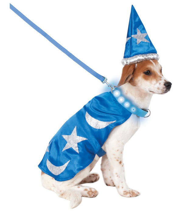 Costume de magicien pour chien