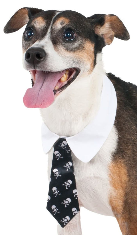 Cravate squelette pour chien