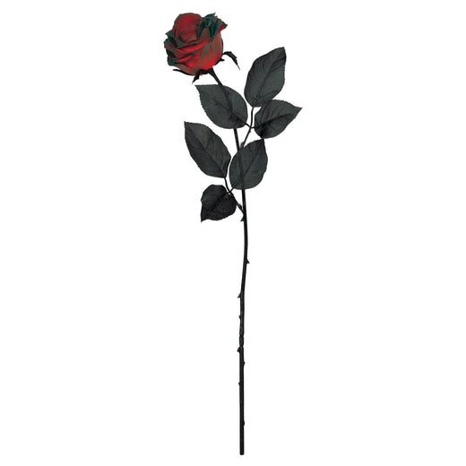 Rose rouge sang