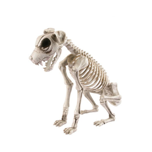 Skeletal Dog (15.75”)