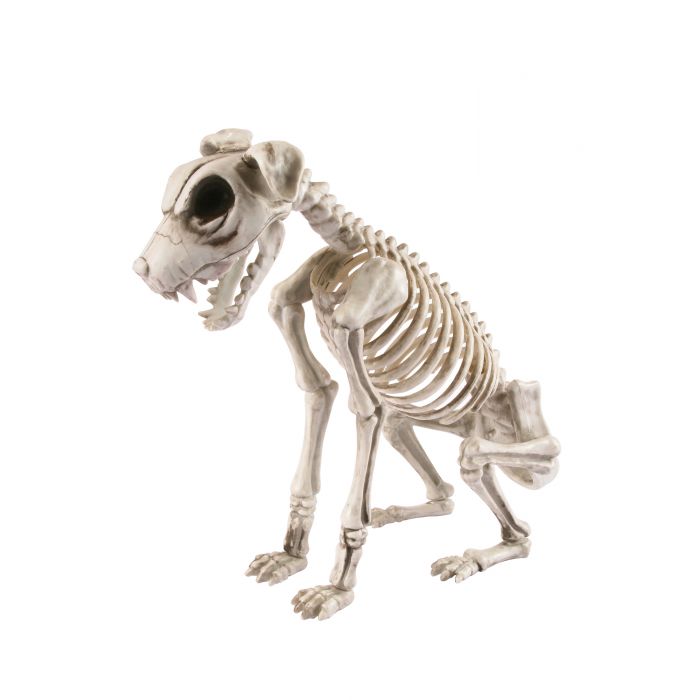 Chien squelettique (15.75”)