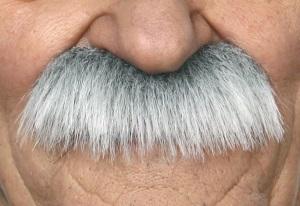 Fausse moustache autocollante - Blanc gris