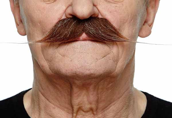 Fausse moustache autocollante - Brun et gris