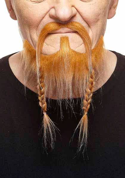 Barbe et moustache - Roux et gris