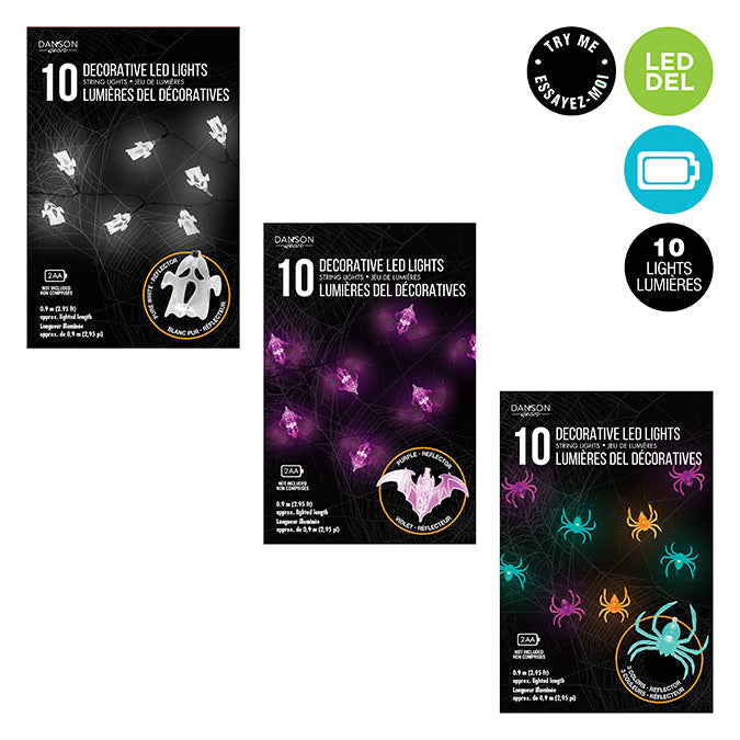 Ensemble de 10 lumières DEL