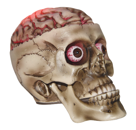 Skeleton Skull with Brain and Lights (7.5")