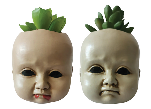 Tête de poupée succulent (4.5")