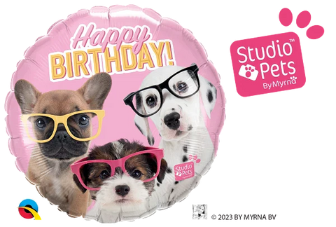 Bday puppies w/glasss 18" - 18"