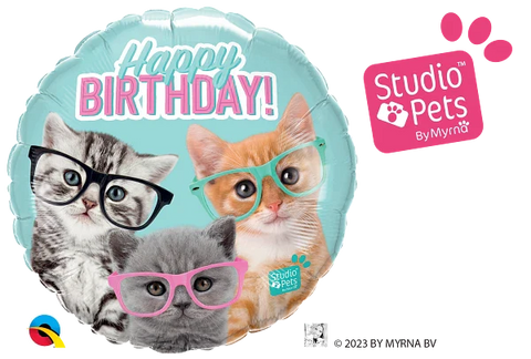 Bday kittens w/glasss 18" - 18"