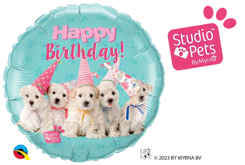 Studio pets bday puppies 18" - 18"