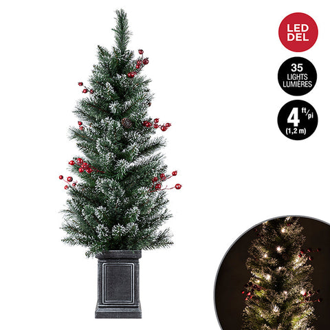 1.2m pre-lit mixed potted fir tree with berries, plastic pot, 50 warm white LED lights, 120 tips