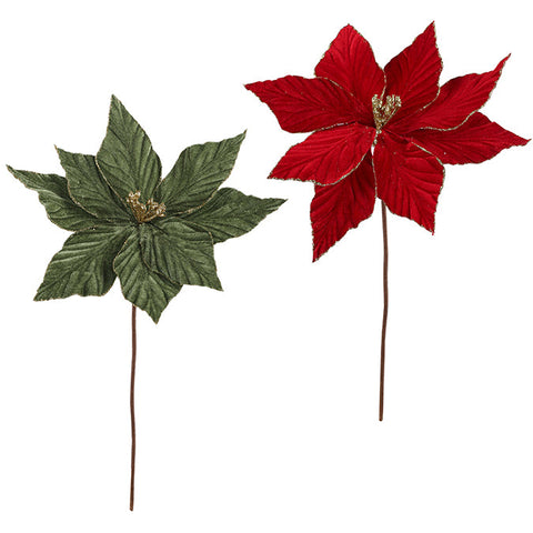 Velvet Poinsettia with Gold Edges